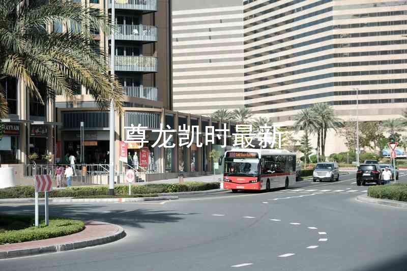 尊龙凯时最新