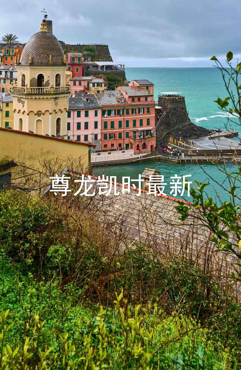 尊龙凯时最新